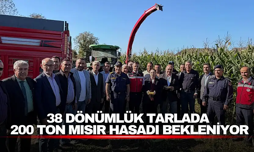 38 Dönümlük Tarlada 200 Ton Mısır Hasadı Bekleniyor