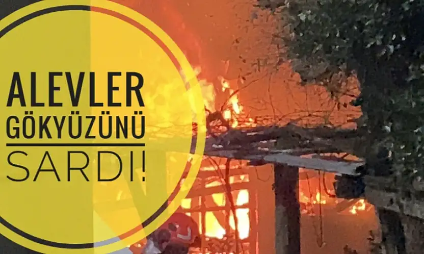 ALEVLER GÖKYÜZÜNÜ SARDI!