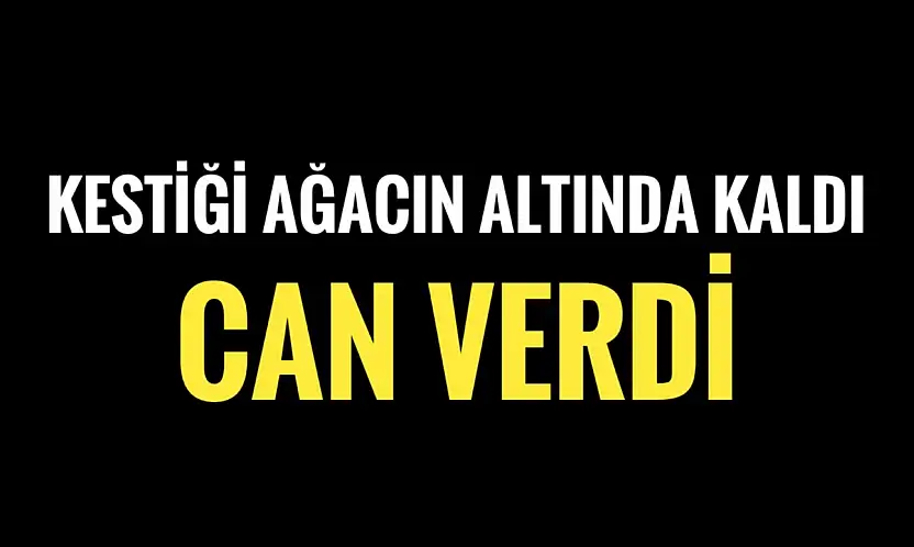 Ağacın altında kaldı