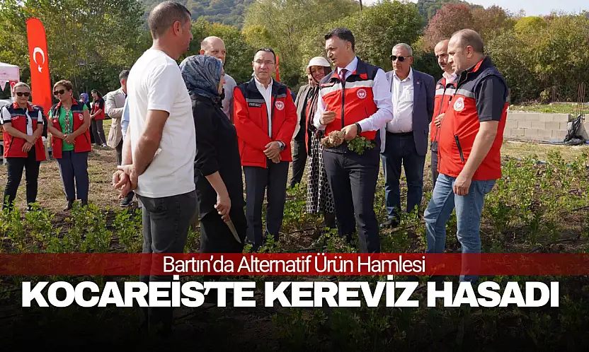 Alternatif Ürün Hamlesi: Kereviz Hasadı Yapıldı