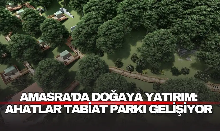 Amasra'ya Yeni Yaşam Alanı