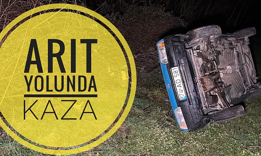 Arıt yolunda kaza