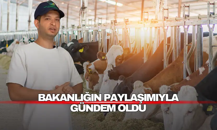 Bakanlığın Paylaşımıyla Gündem Oldu