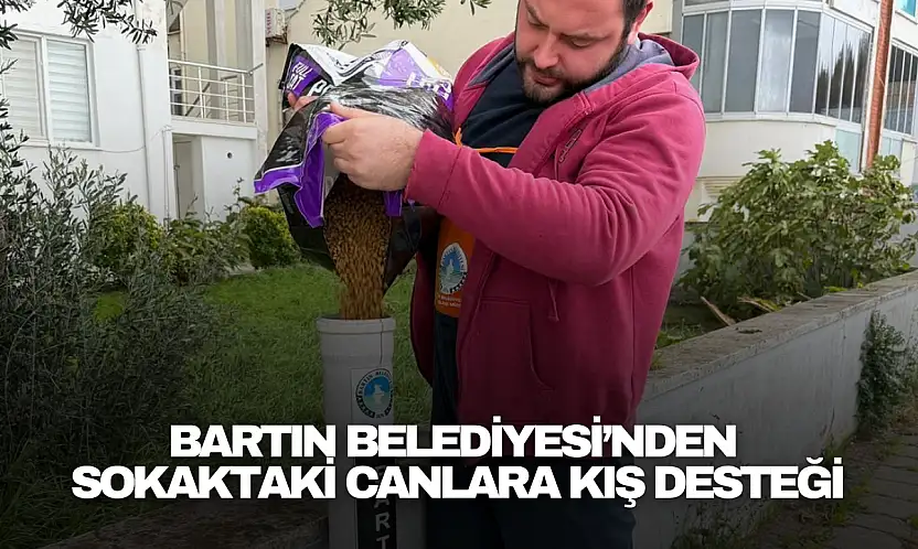 Bartın Belediyesi'nden Sokaktaki Canlara Kış Desteği