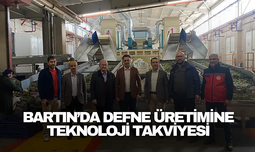 Bartın'da Defne Üretimine Teknoloji Takviyesi