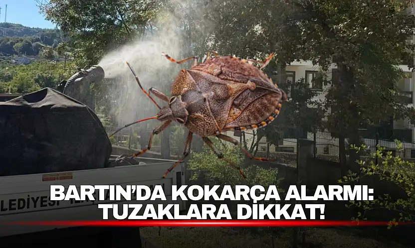 Kokarca Alarmı: Tuzaklara Dikkat!