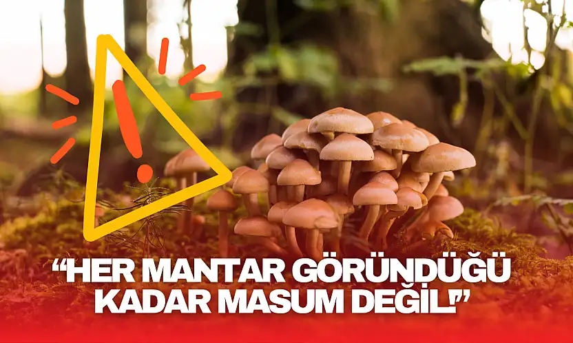 Bartın Valiliği'nden Kritik Uyarı