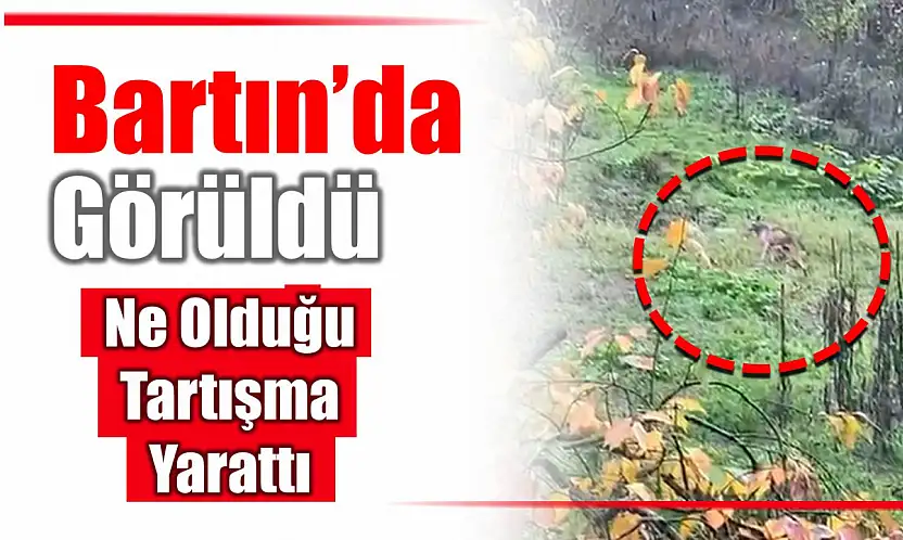 Bu görüntülere yorum yağdı