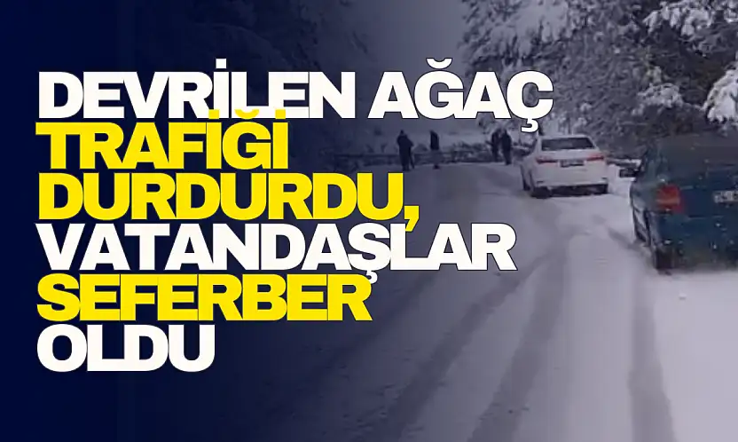 Devrilen Ağaç Trafiği Durdurdu