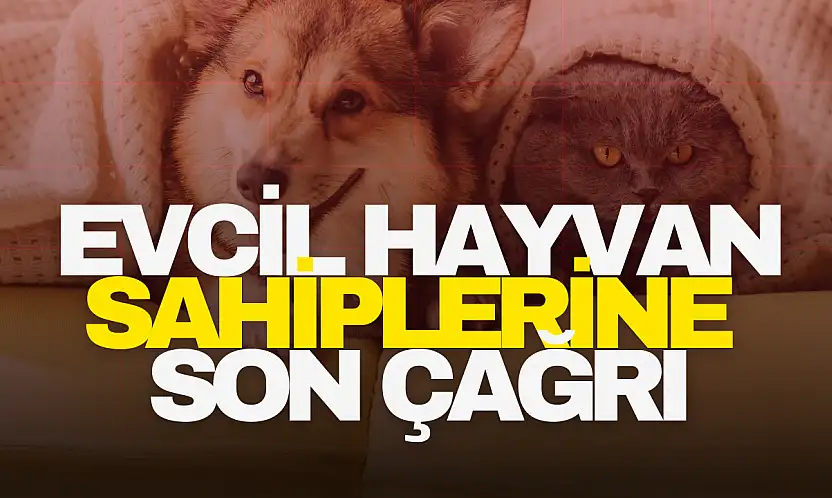 Evcil Hayvan Sahiplerine Son Çağrı