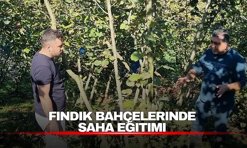 Fındık Üreticilerine Budama ve Kahverengi Kokarca Eğitimi