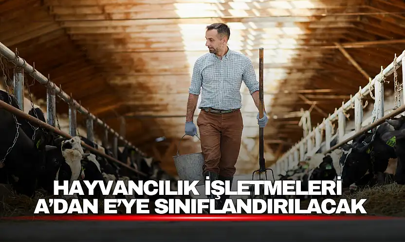 Hayvancılık İşletmelerinde Yeni Dönem