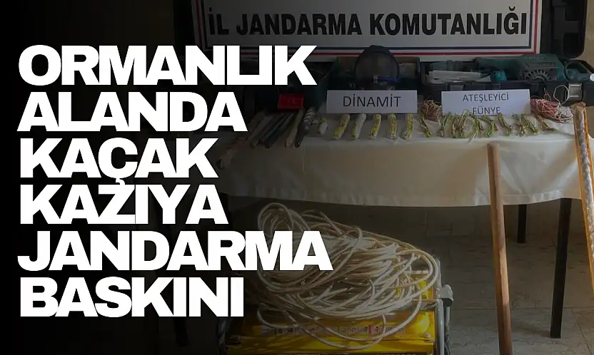 Kaçak Kazıya Jandarma Baskını