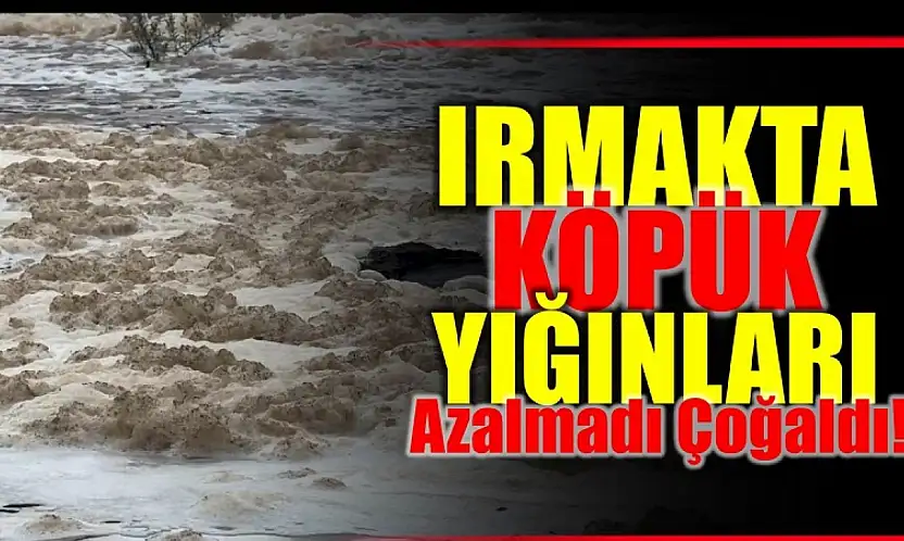 Kimyasal şüphesi korkutuyor