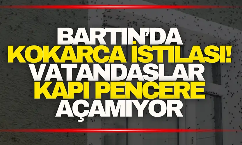 Kokarca İstilası! Vatandaşlar Kapı Pencere Açamıyor