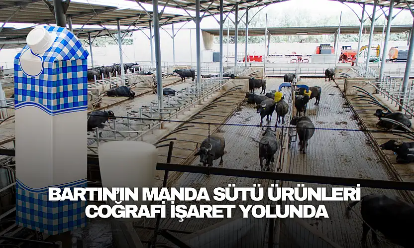 Manda Sütü Ürünleri Coğrafi İşaret Yolunda