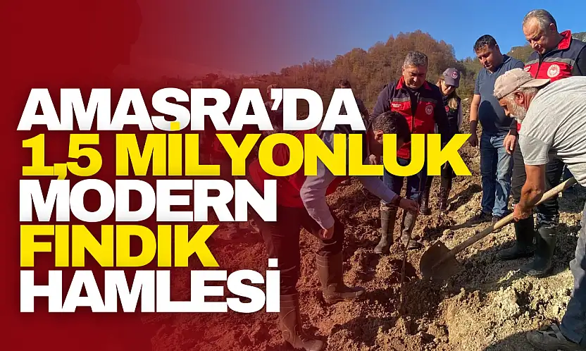 Milyonluk Modern Fındık Hamlesi