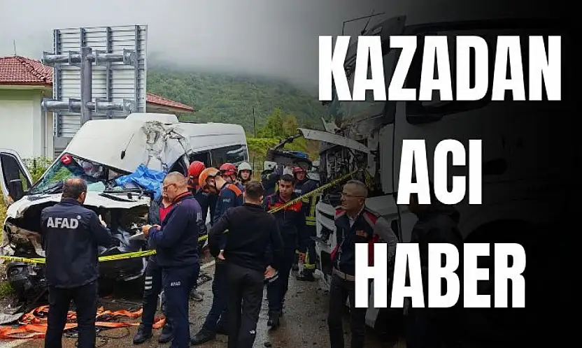 Minibüs şoförü hayatını kaybetti
