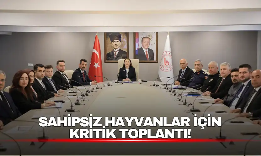 Sahipsiz Hayvanlar İçin Kritik Toplantı!