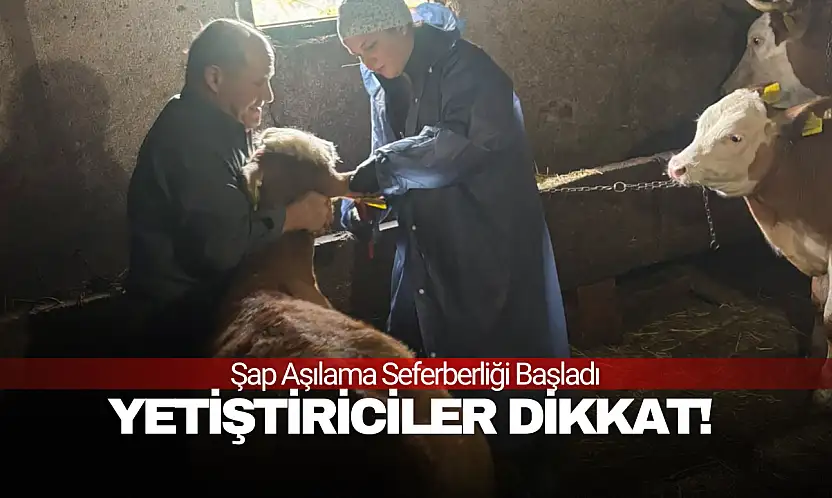 Şap Aşısı İçin Tarihler Belli Oldu