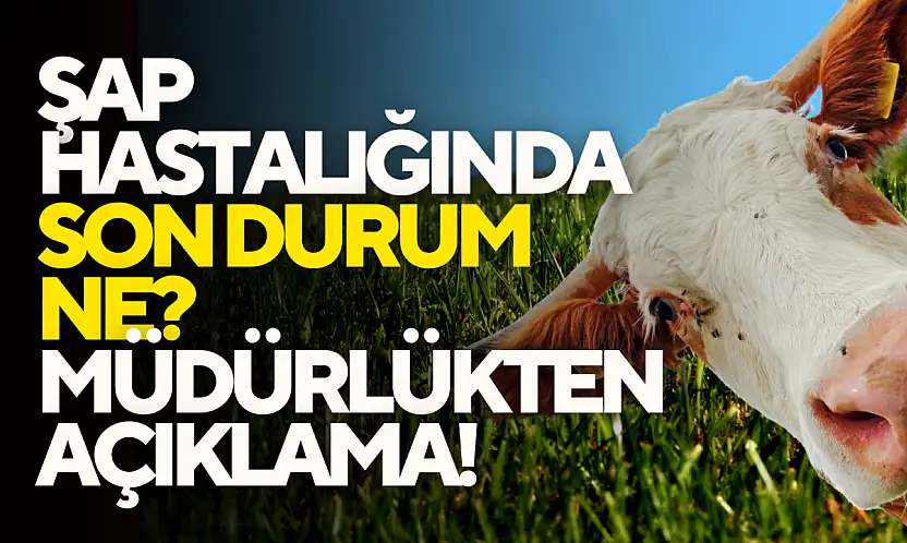 Şap Hastalığında Son Durum Ne?