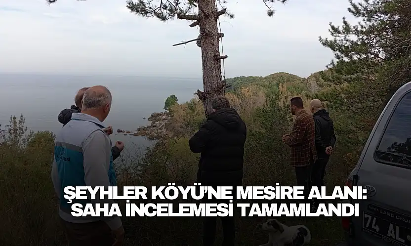 Şeyhler Köyü'ne Modern Mesire Alanı