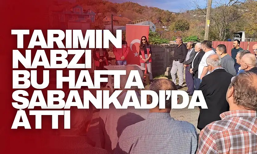 Tarımın Nabzı Bu Hafta Şabankadı'da Attı