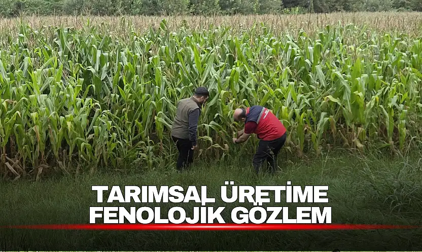 Tarımsal Üretim Fenolojik Gözlemlerle Takip Ediliyor