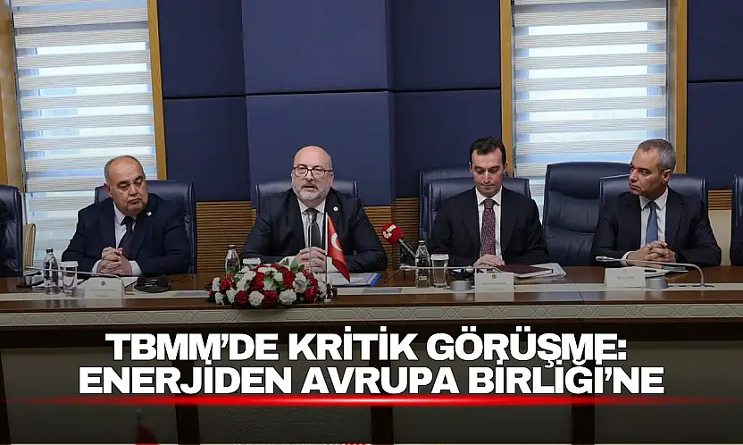 TBMM'de Kritik Görüşme: Enerjiden Avrupa Birliği'ne