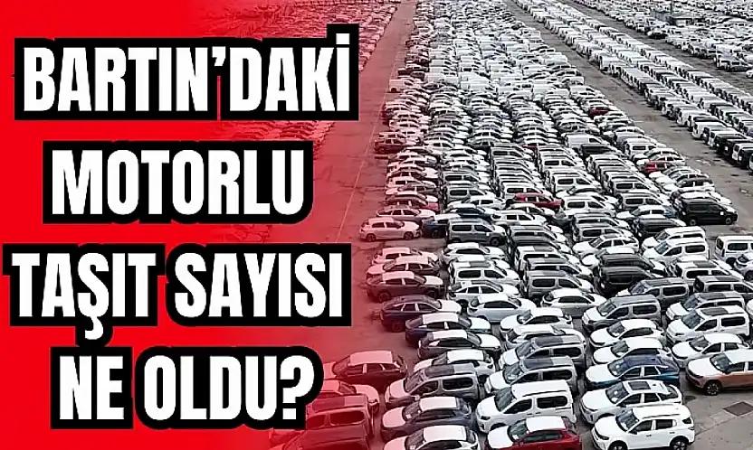 TÜİK verileri paylaştı