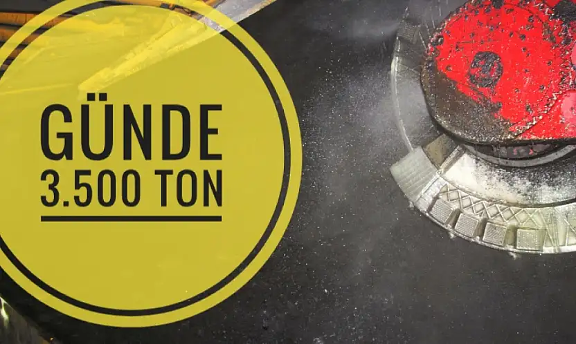 Uyuyan güzel uyandı