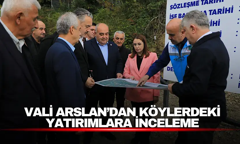 Vali Arslan'dan Köylerdeki Yatırımlara İnceleme