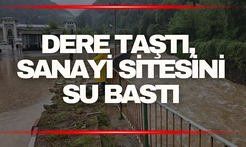 Zonguldak'ta sağanak sonrası dere taştı, sanayi sitesini su bastı
