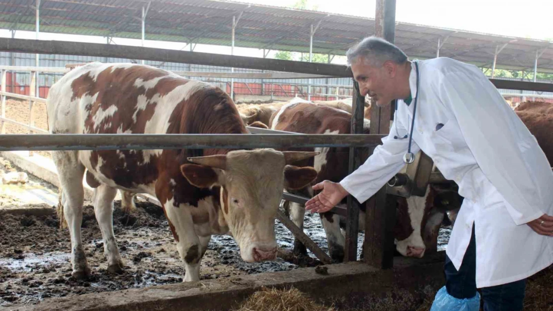 'Kesilen kurban etlerini üst üste koymayın'