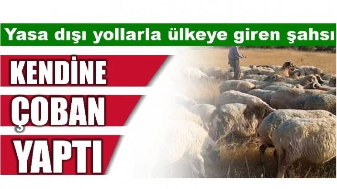 AFGAN VATANDAŞI KENDİNE ÇOBAN YAPTI! BARTIN