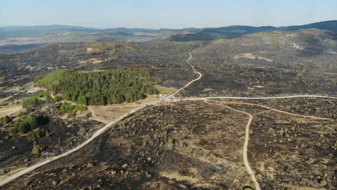 Ankara'dan Bolu'ya sıçrayan yangın 22 saat sonra kontrol altına alındı