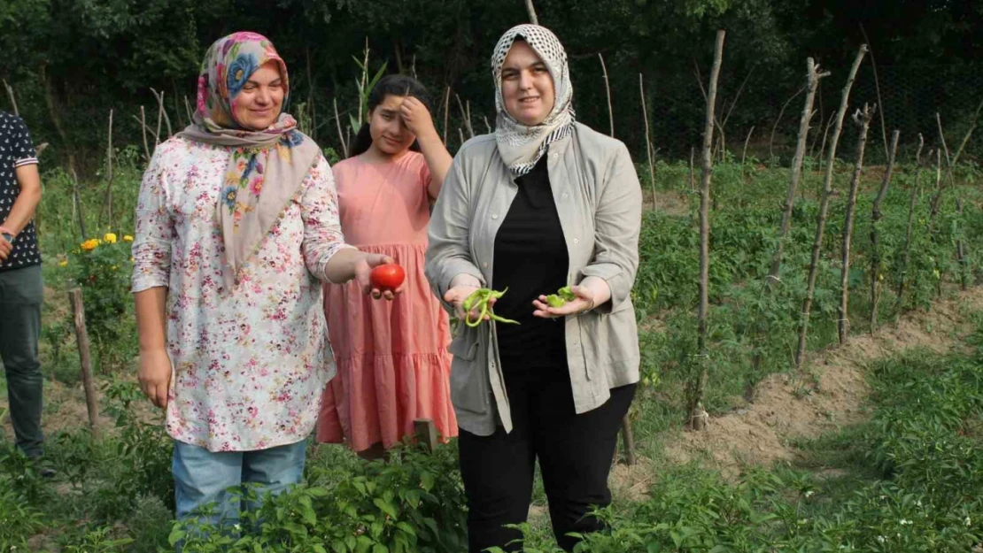 Ata tohum ile yerel çeşitler korunuyor