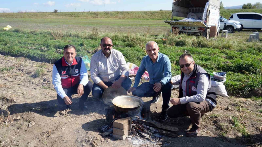 Bakanlık destekledi, çiftçiler üretti: Patateste hasat devam ediyor