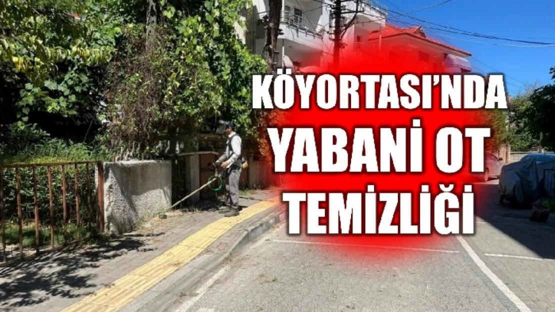 Belediyenin temizlik çalışmaları devam ediyor