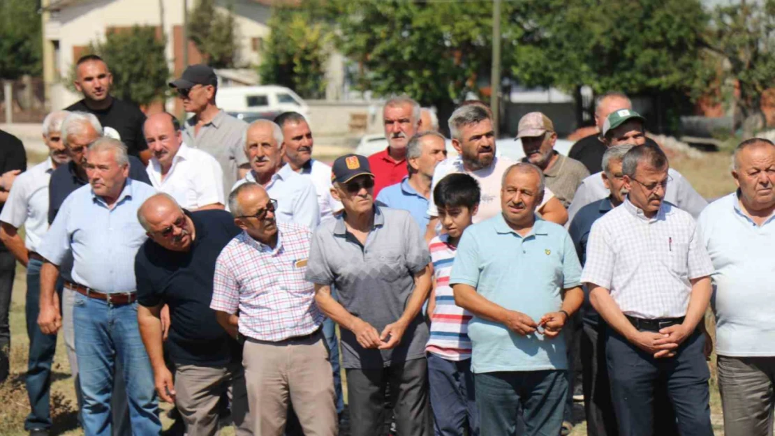 Bir zamanlar balık tutuluyordu, şimdi zehir