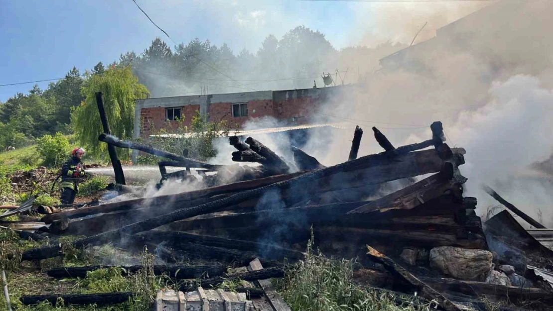 Bolu'da 2 samanlık ve odunluk alev alev yandı: Yangın havadan görüntülendi