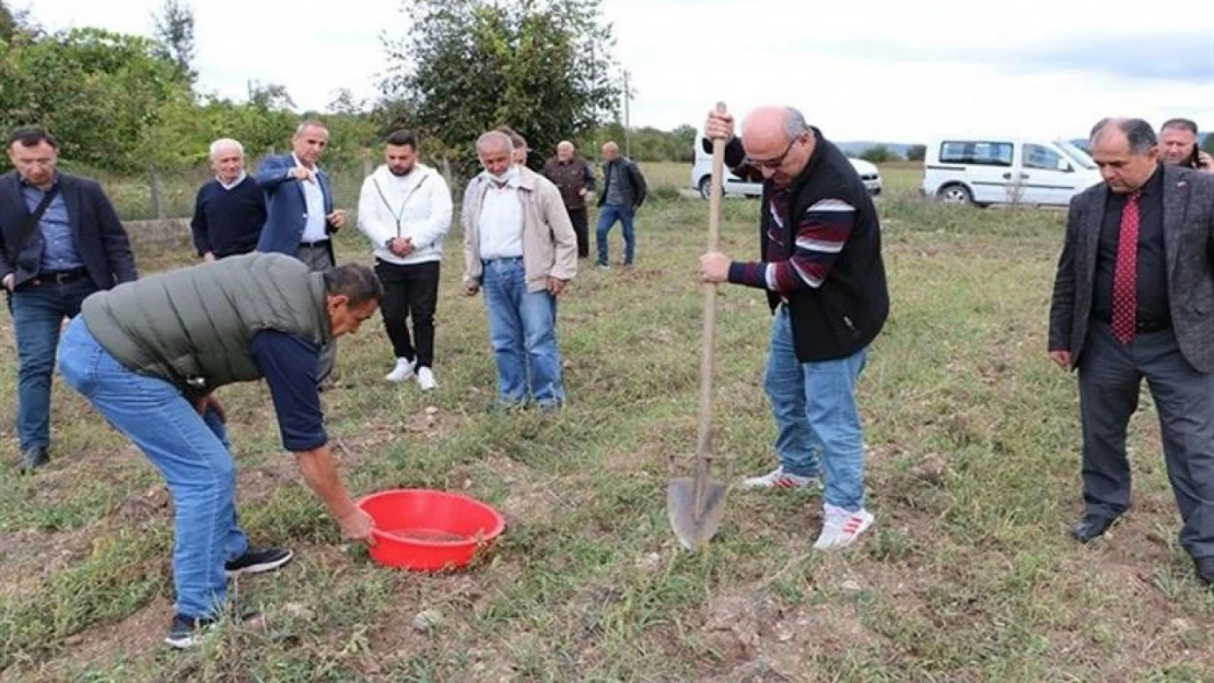 Bolu'da kaliteli toprak için ekipler harekete geçti