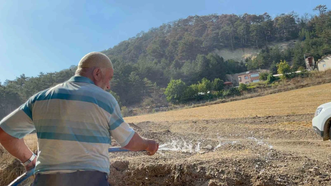 Bolu'da orman yangını kontrol altına alındı, vatandaşlar evlerine dönüyor