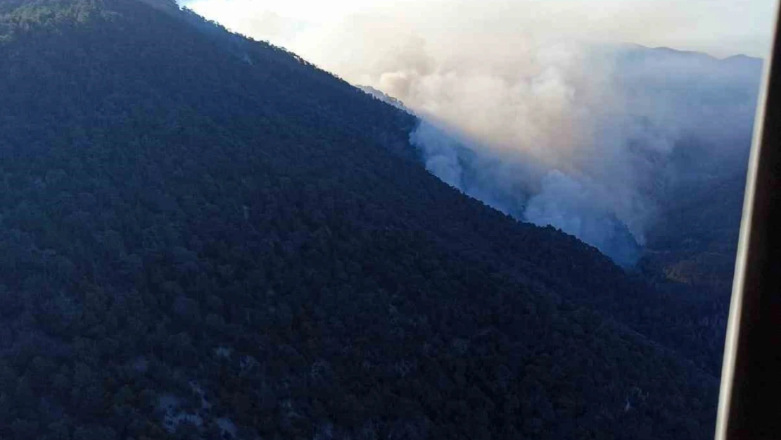 Bolu'daki orman yangınına havadan müdahale sürüyor