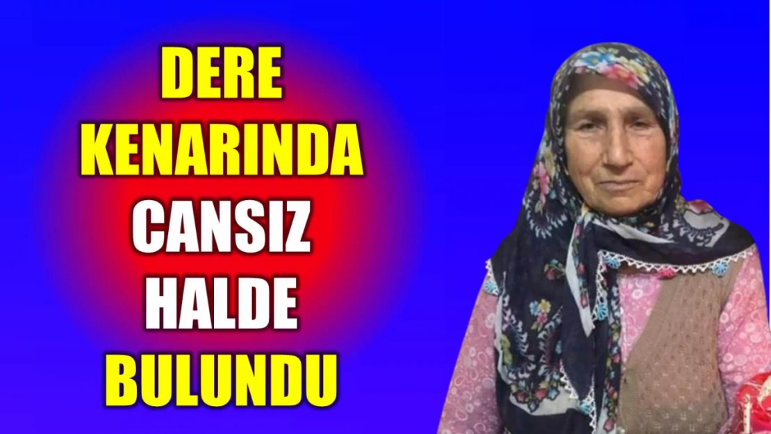 Cansız halde bulunmuştu