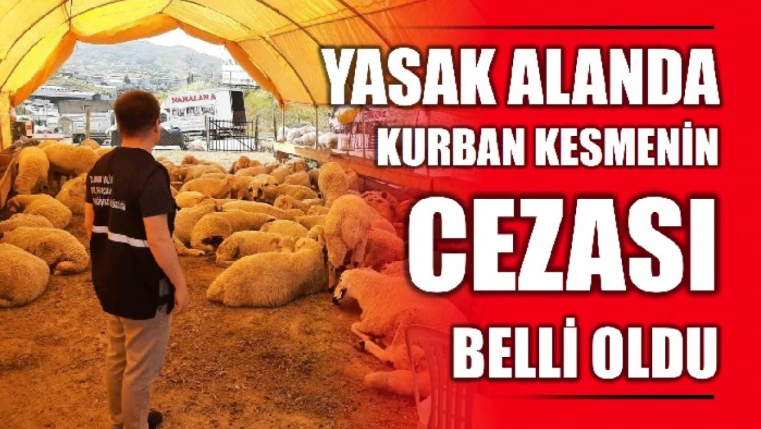 Cezası çok büyük