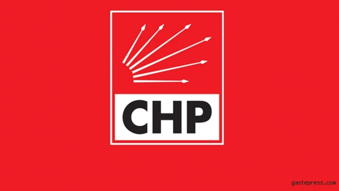 CHP Kadın Kolları 'Şiddet değil güvenlik istiyoruz'