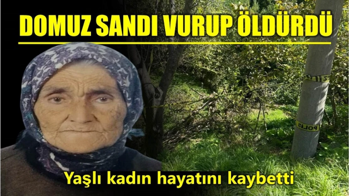 Yaşlı kadın hayatını kaybetti