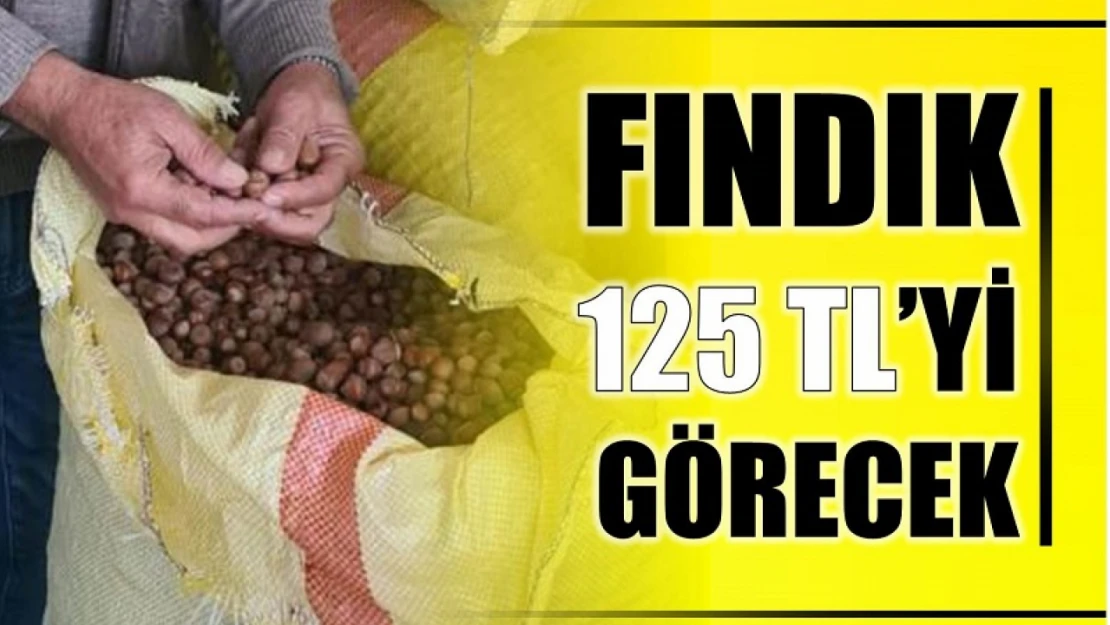 Fındık 125 lirayı görecek