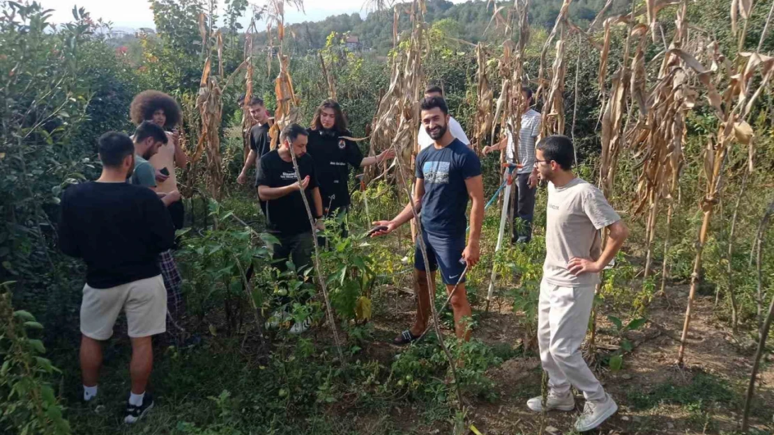 Gençler toprakla uğraşıp stres atıyor